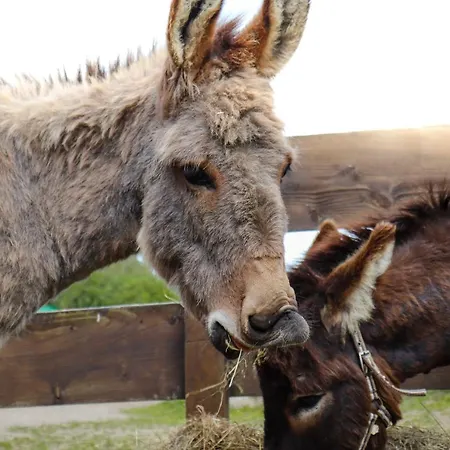 Hotel Bauernhof Lunau Kabelhorst